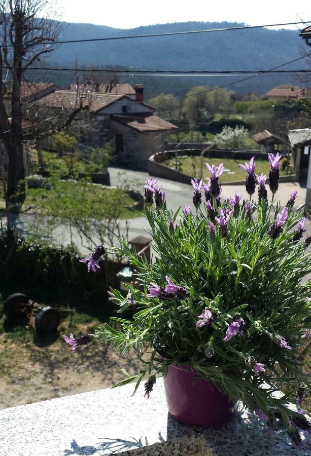 Moonflower Pliskovica Zewnętrze zdjęcie