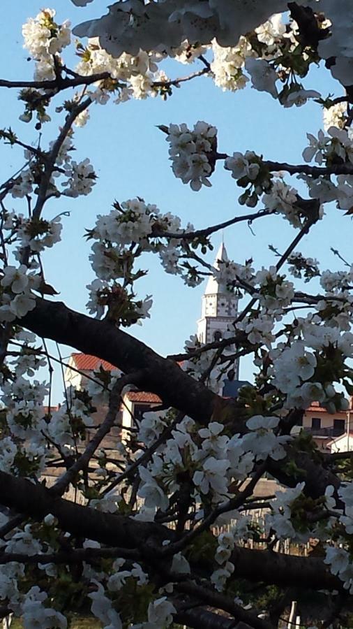 Moonflower Pliskovica Zewnętrze zdjęcie